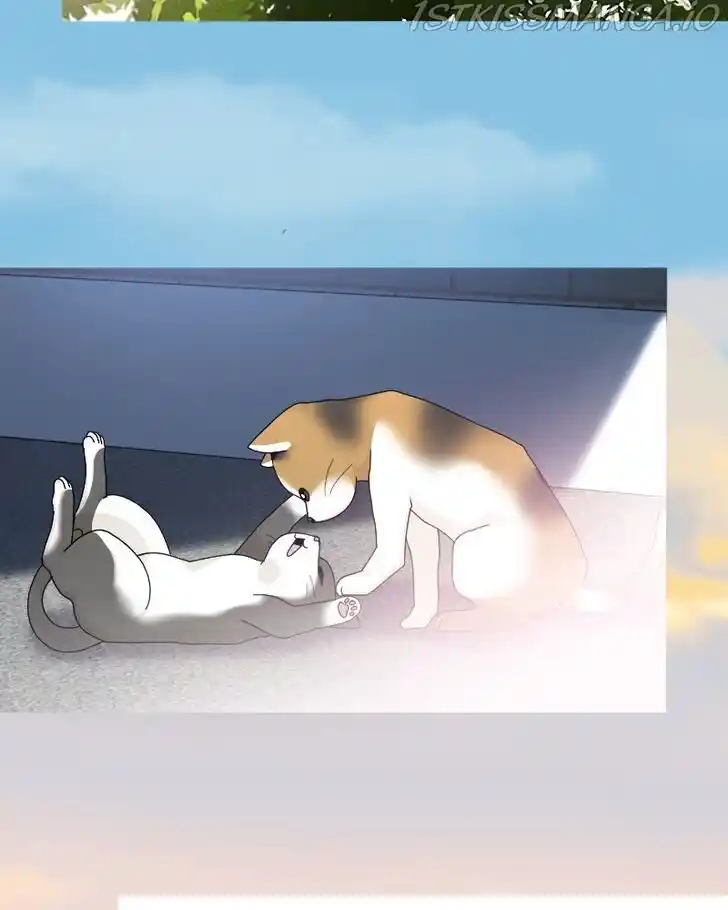 I Gave Birth to a Dog Ch.061