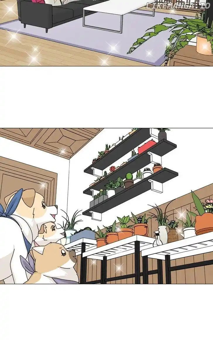 I Gave Birth to a Dog Ch.165