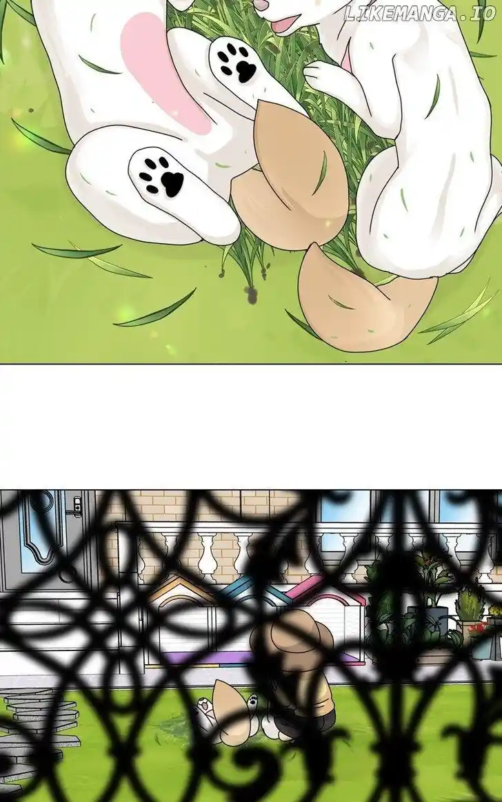 I Gave Birth to a Dog Ch.165