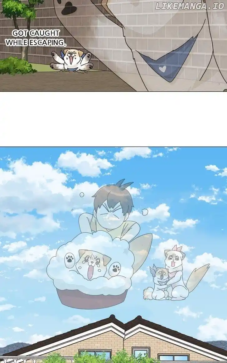 I Gave Birth to a Dog Ch.166