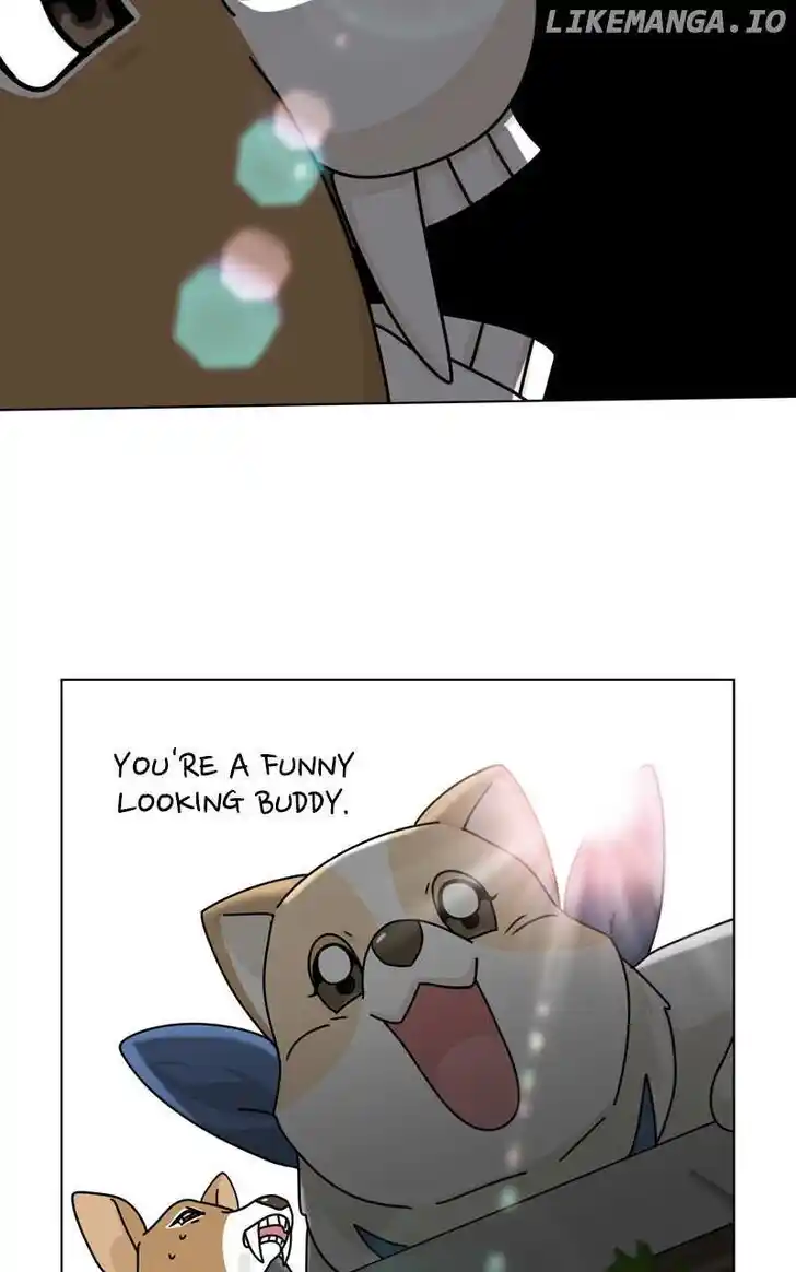 I Gave Birth to a Dog Ch.168