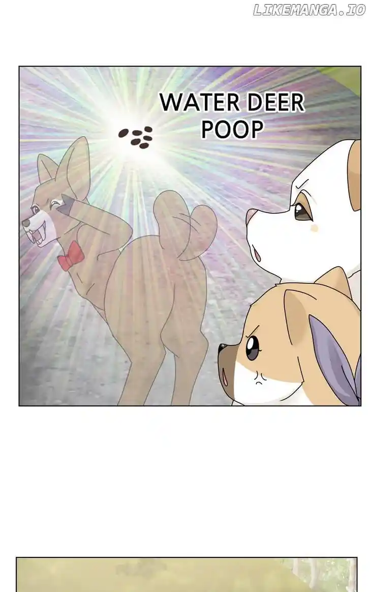 I Gave Birth to a Dog Ch.168