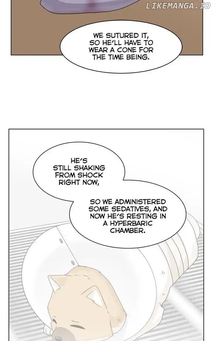 I Gave Birth to a Dog Ch.169