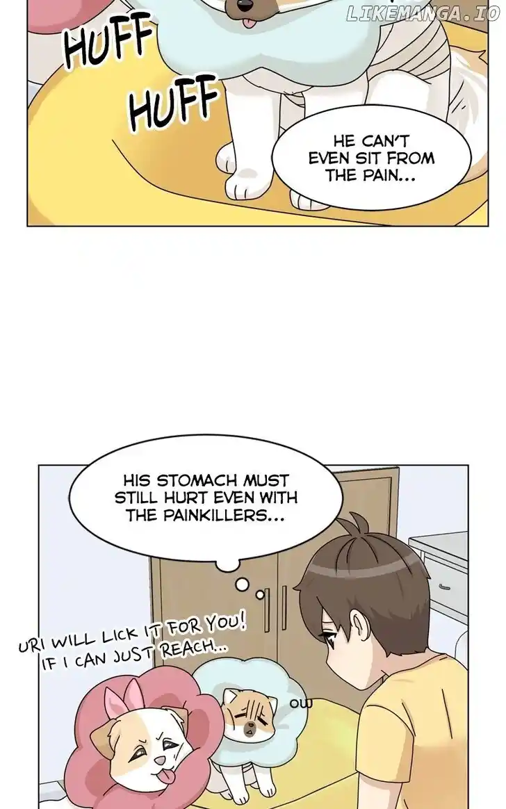 I Gave Birth to a Dog Ch.170