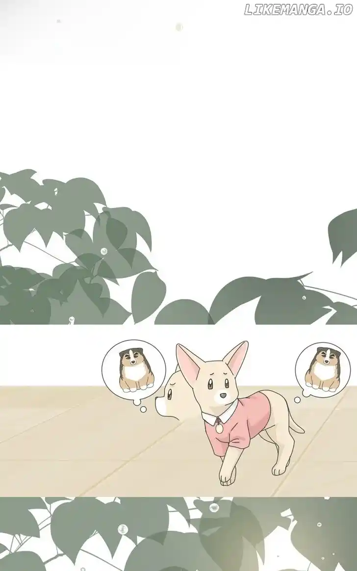 I Gave Birth to a Dog Ch.178