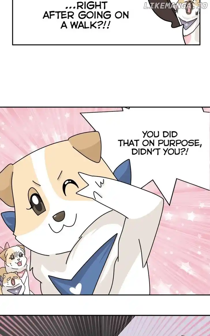 I Gave Birth to a Dog Ch.179