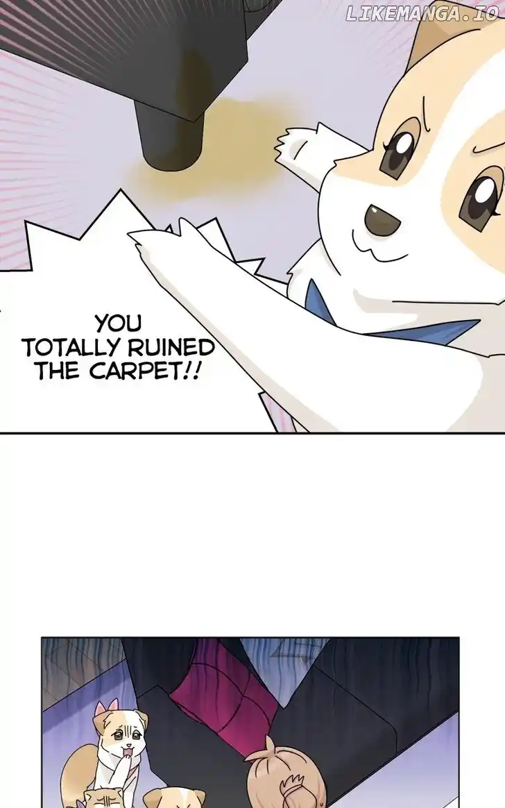 I Gave Birth to a Dog Ch.179