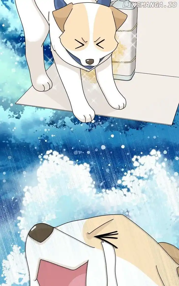 I Gave Birth to a Dog Ch.181