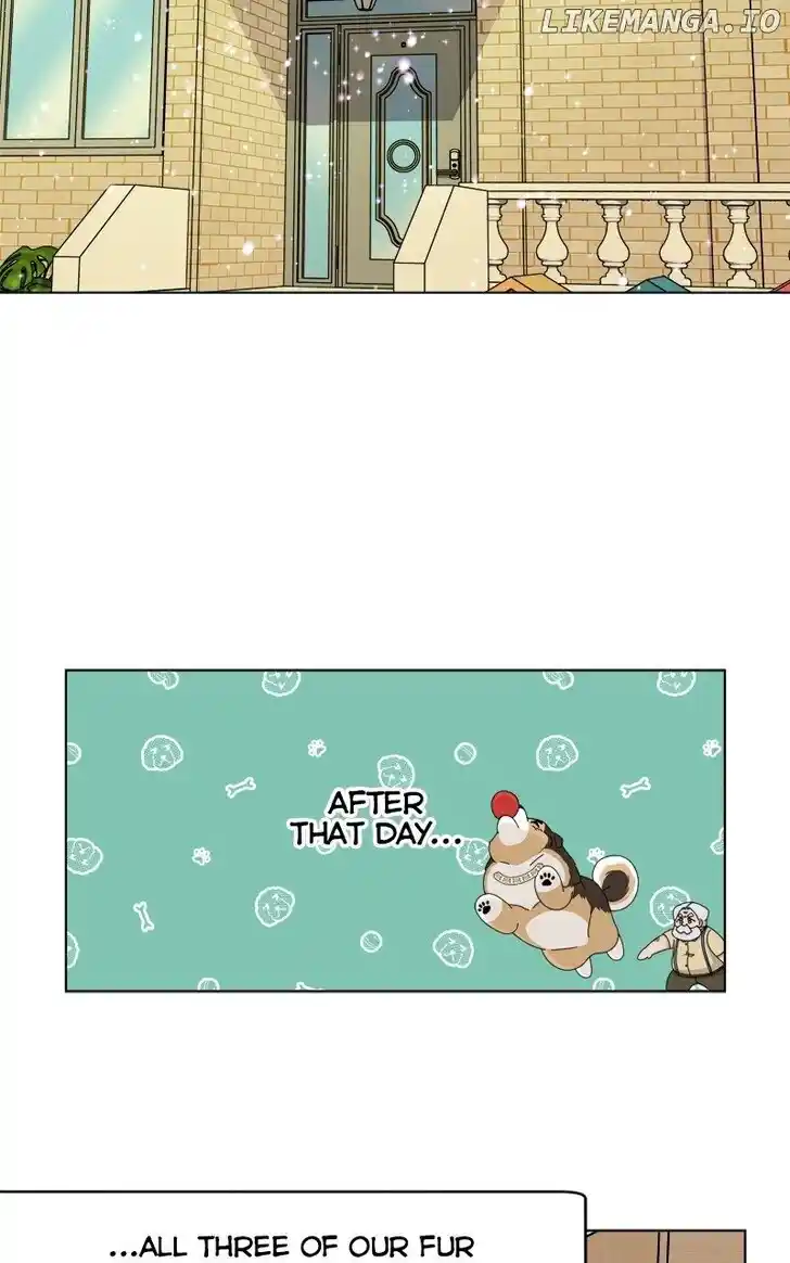 I Gave Birth to a Dog Ch.181