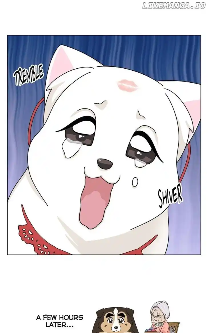 I Gave Birth to a Dog Ch.183