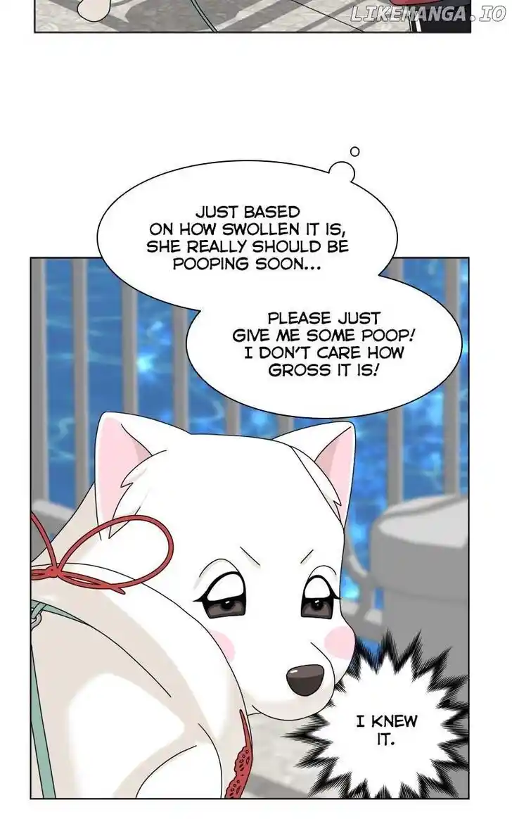 I Gave Birth to a Dog Ch.186