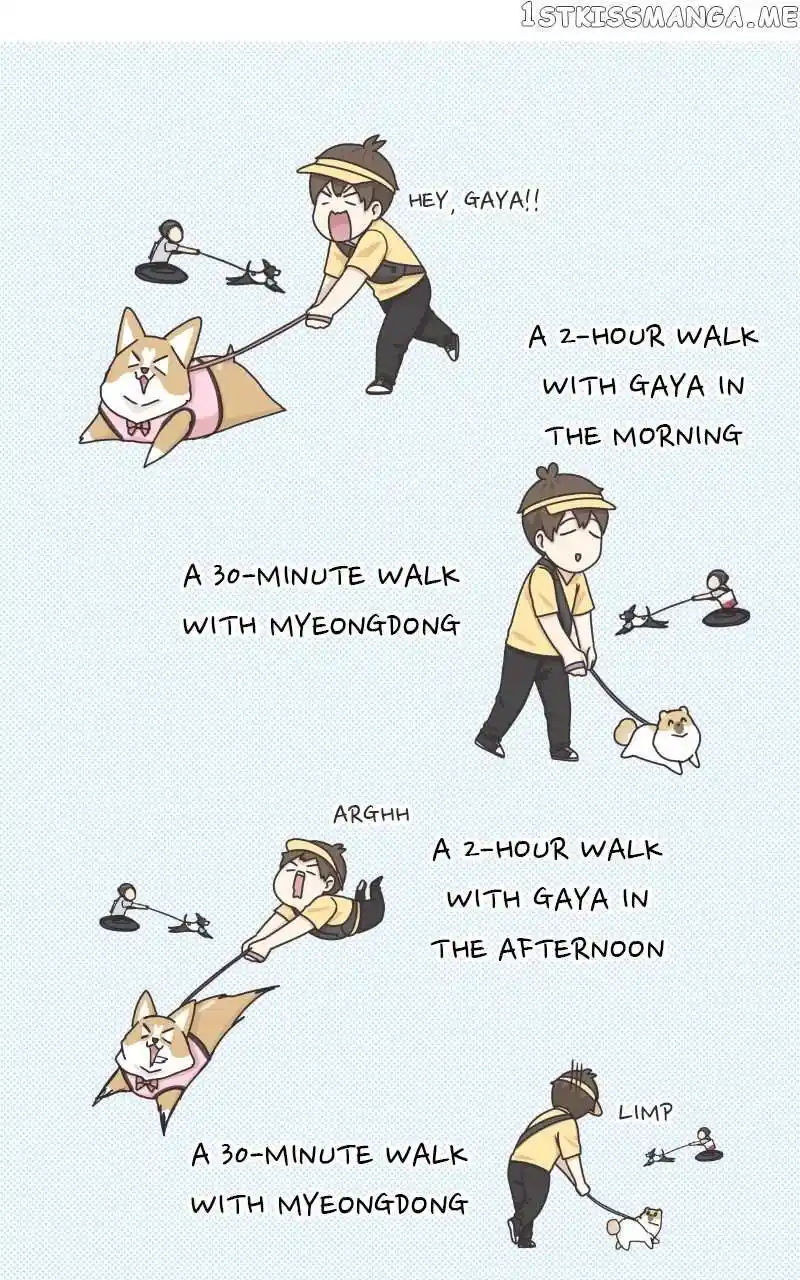 I Gave Birth to a Dog Chapter 100