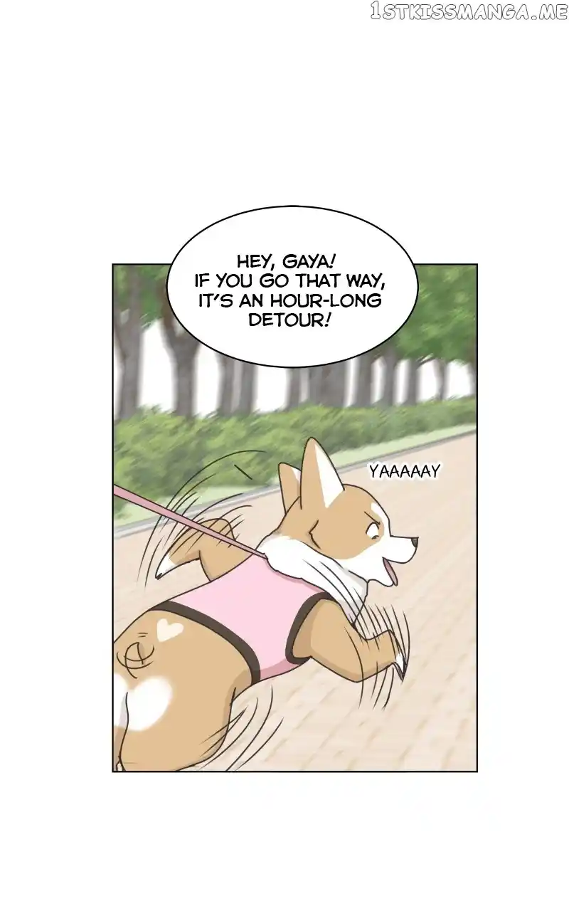I Gave Birth to a Dog Chapter 100
