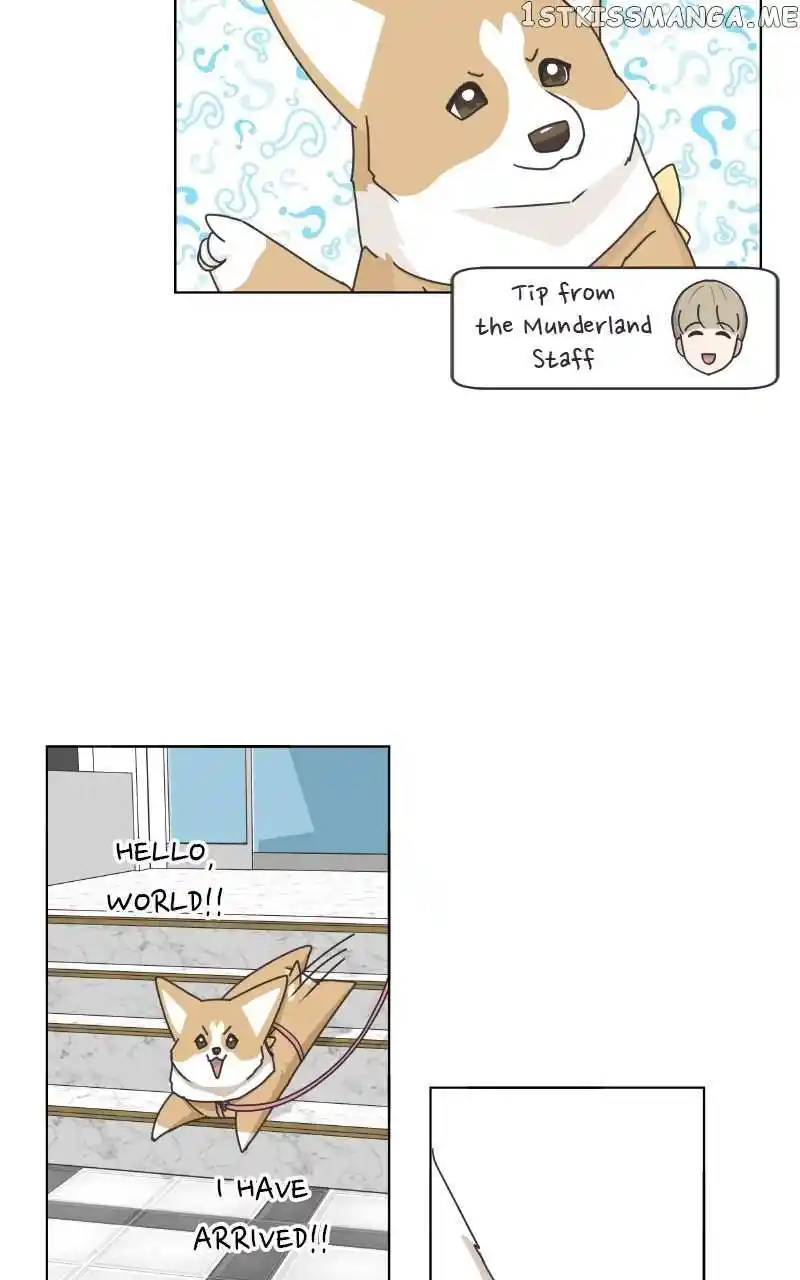 I Gave Birth to a Dog Chapter 100