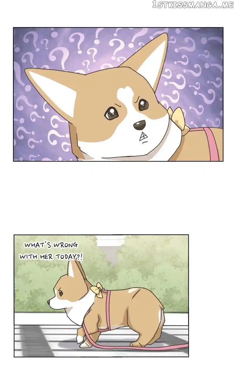 I Gave Birth to a Dog Chapter 100