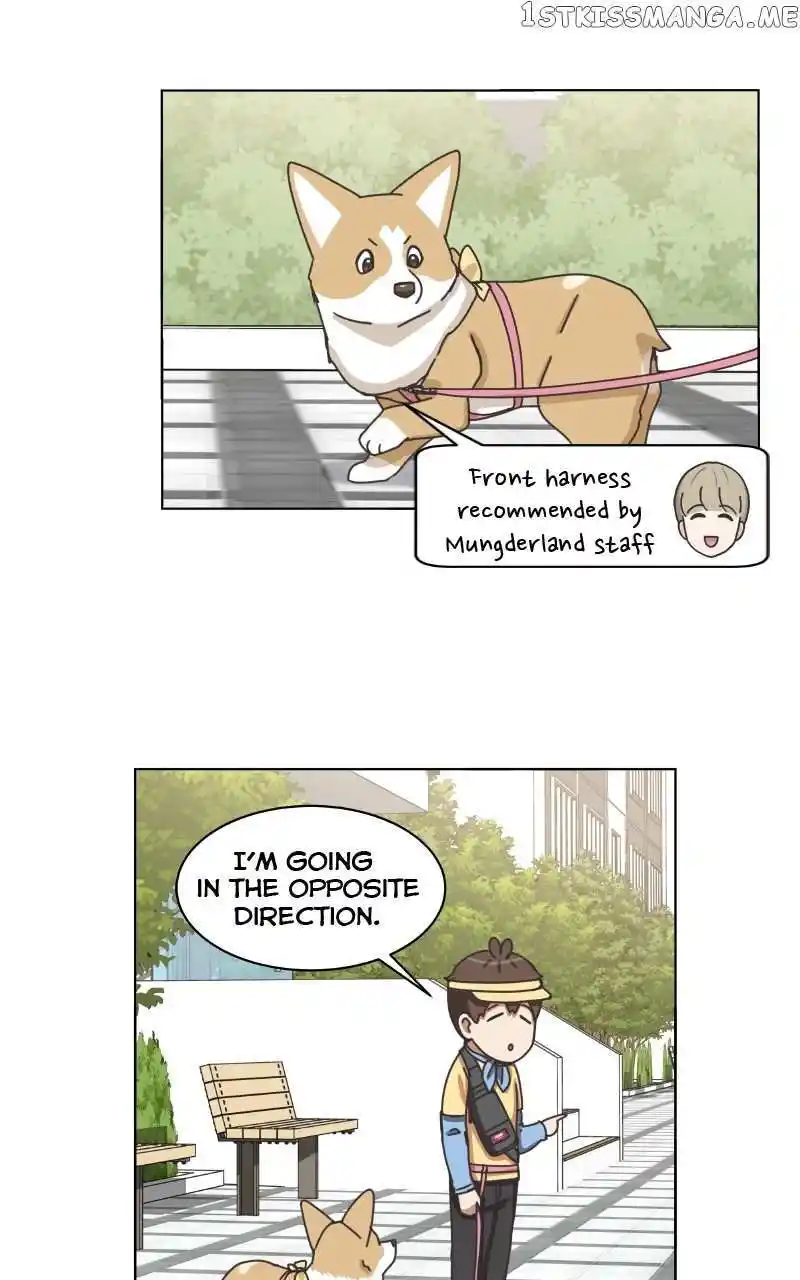 I Gave Birth to a Dog Chapter 100