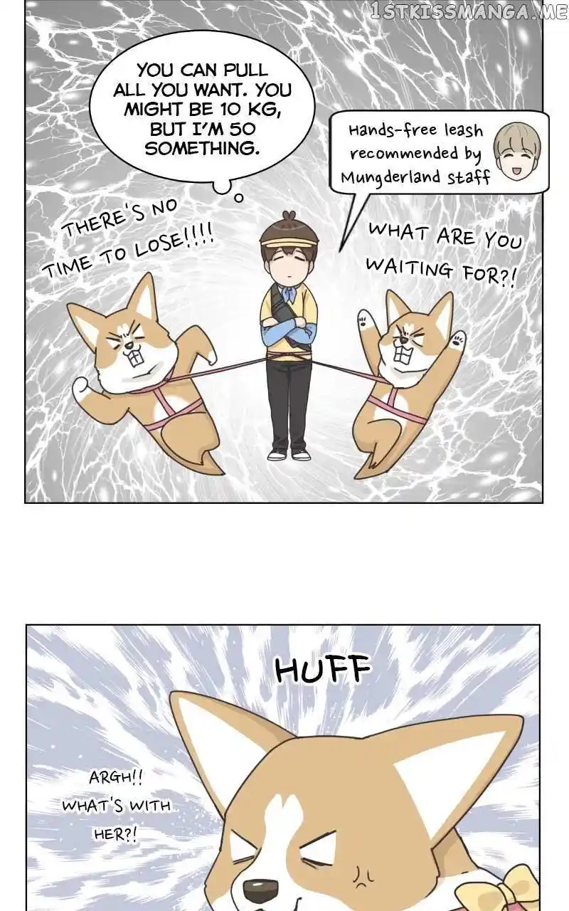 I Gave Birth to a Dog Chapter 100