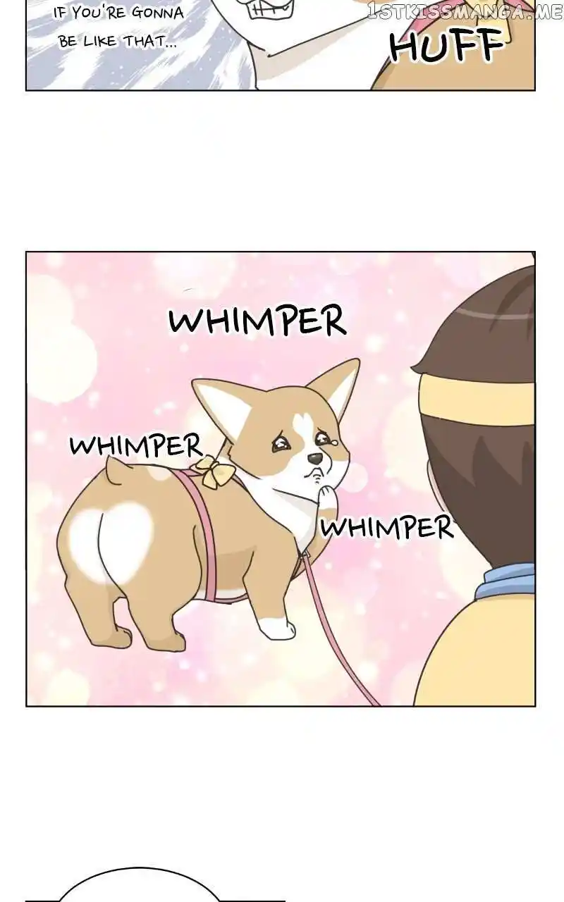I Gave Birth to a Dog Chapter 100