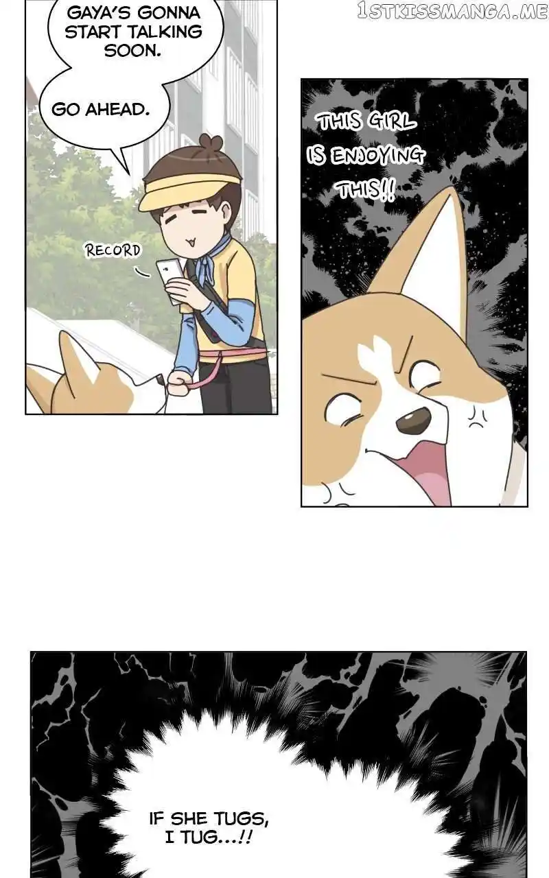 I Gave Birth to a Dog Chapter 100