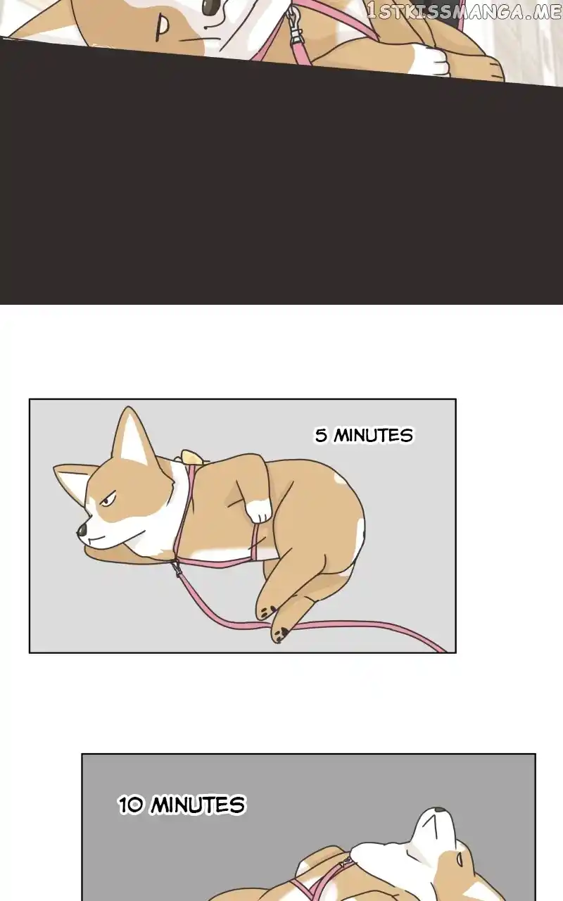 I Gave Birth to a Dog Chapter 100