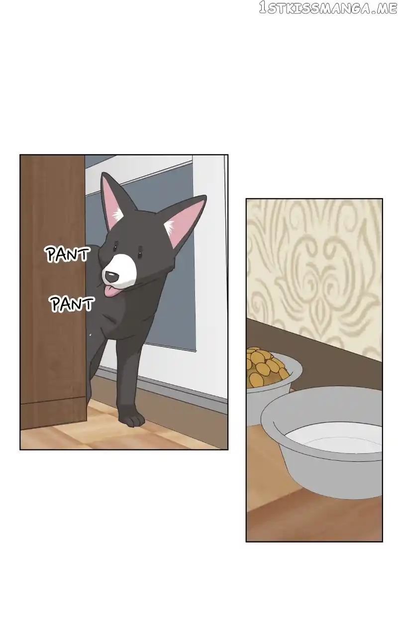 I Gave Birth to a Dog Chapter 101