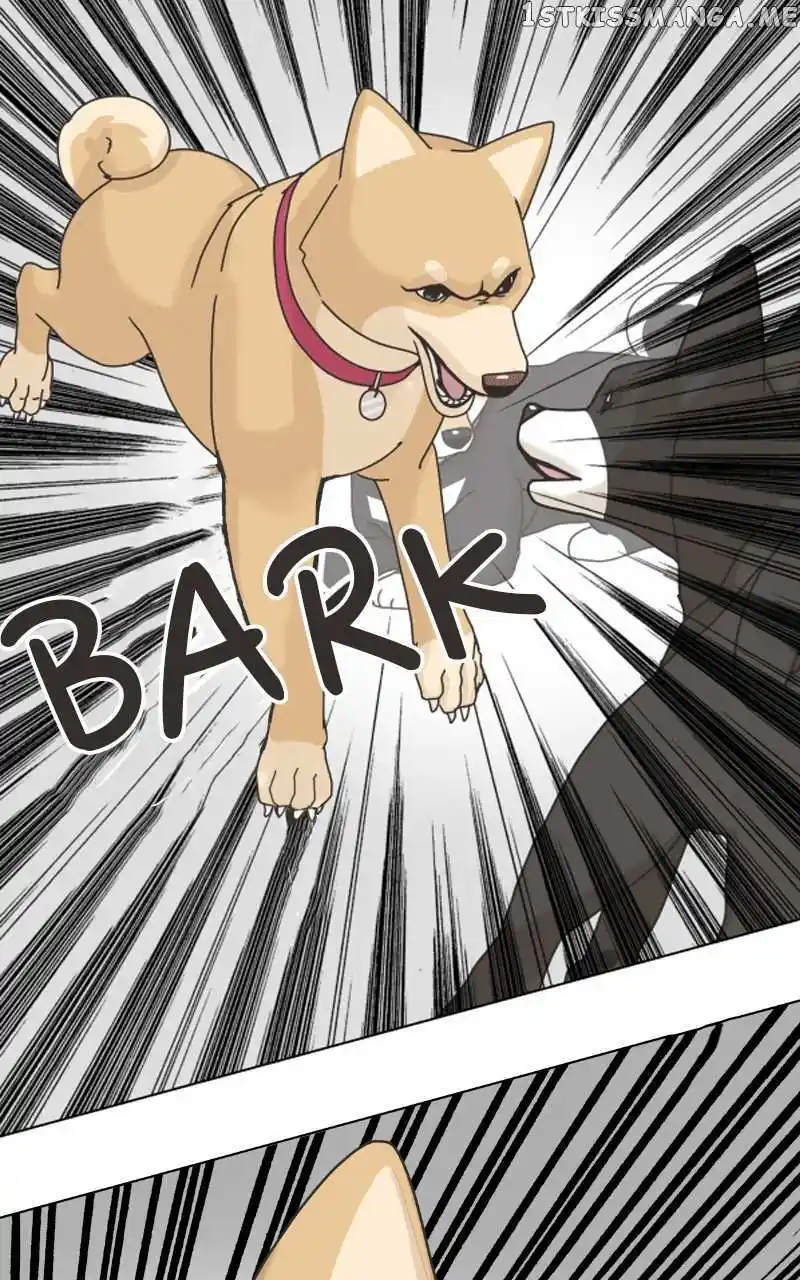 I Gave Birth to a Dog Chapter 101