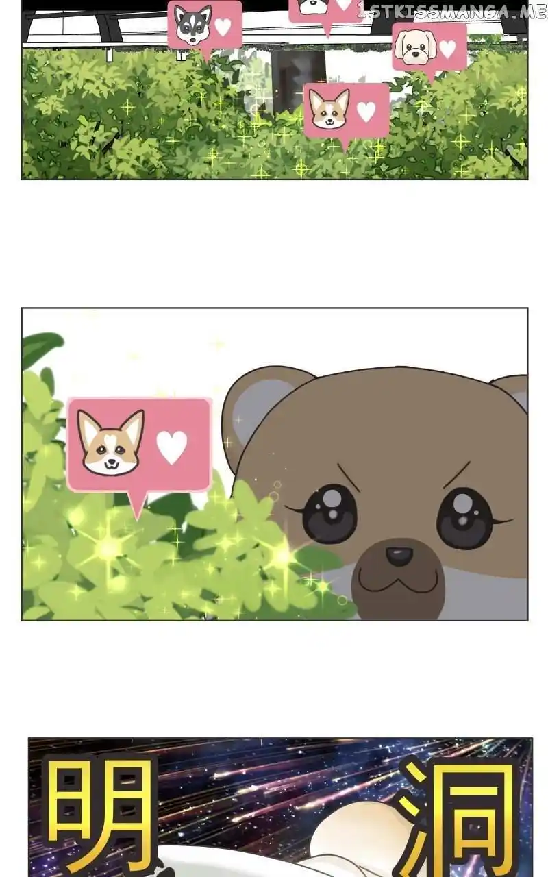 I Gave Birth to a Dog Chapter 101