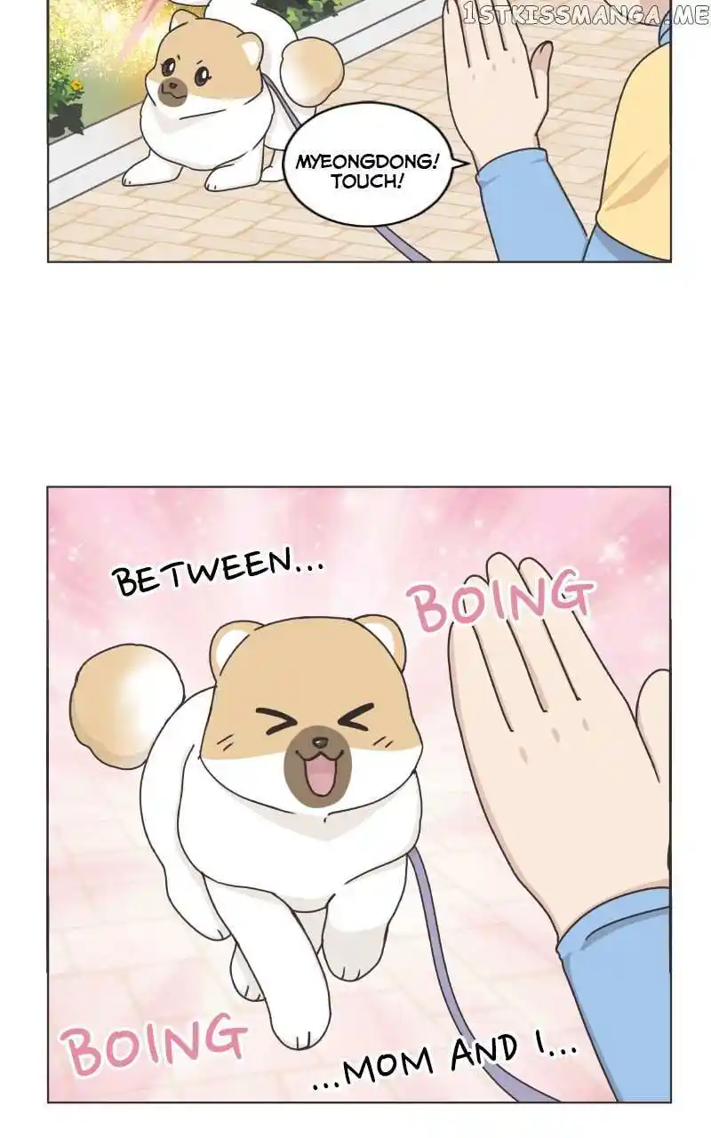 I Gave Birth to a Dog Chapter 101