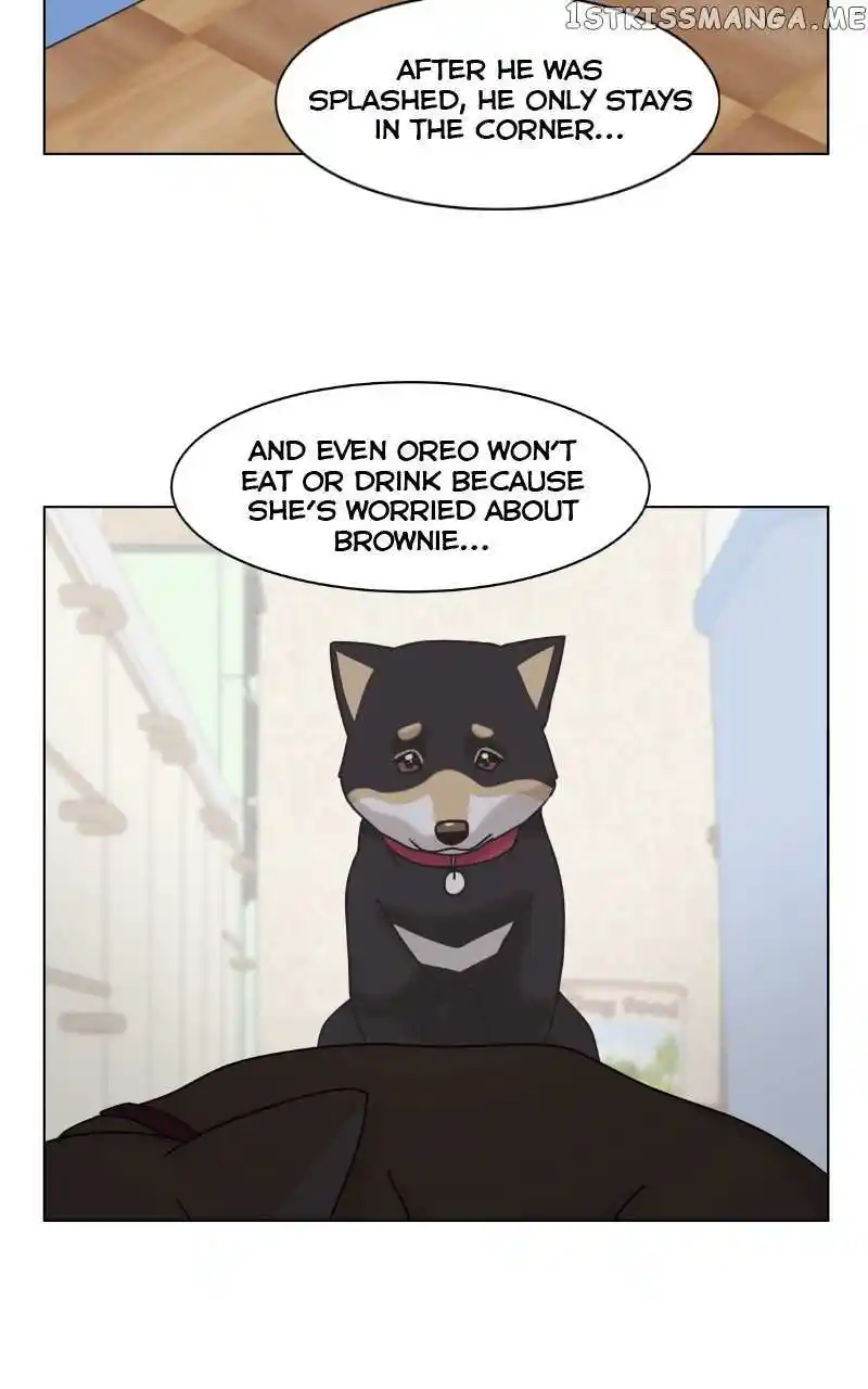 I Gave Birth to a Dog Chapter 101