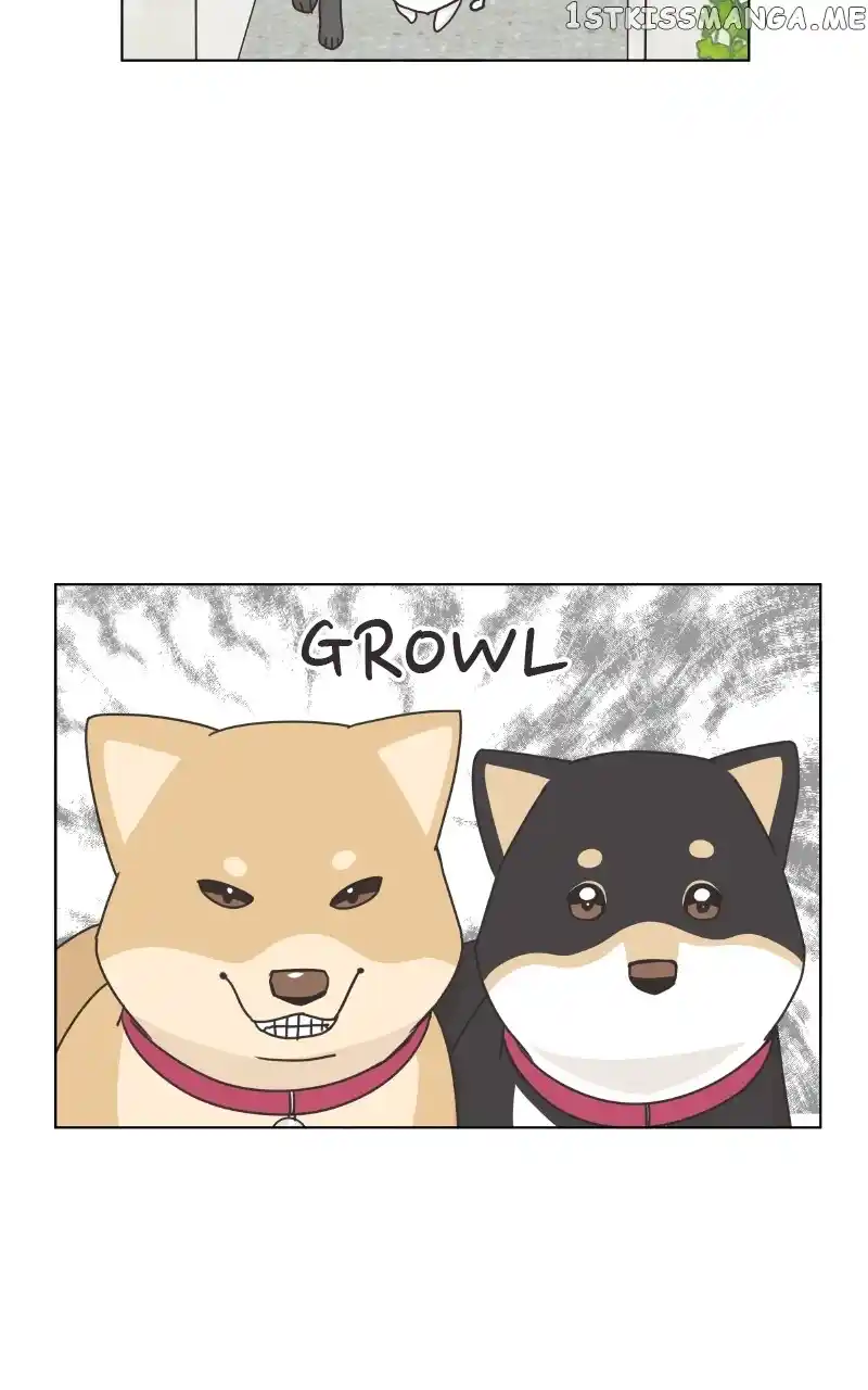 I Gave Birth to a Dog Chapter 102