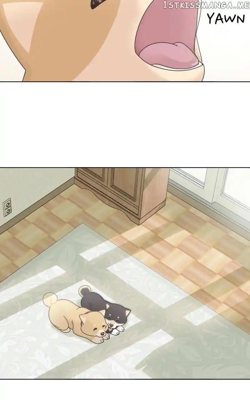 I Gave Birth to a Dog Chapter 102