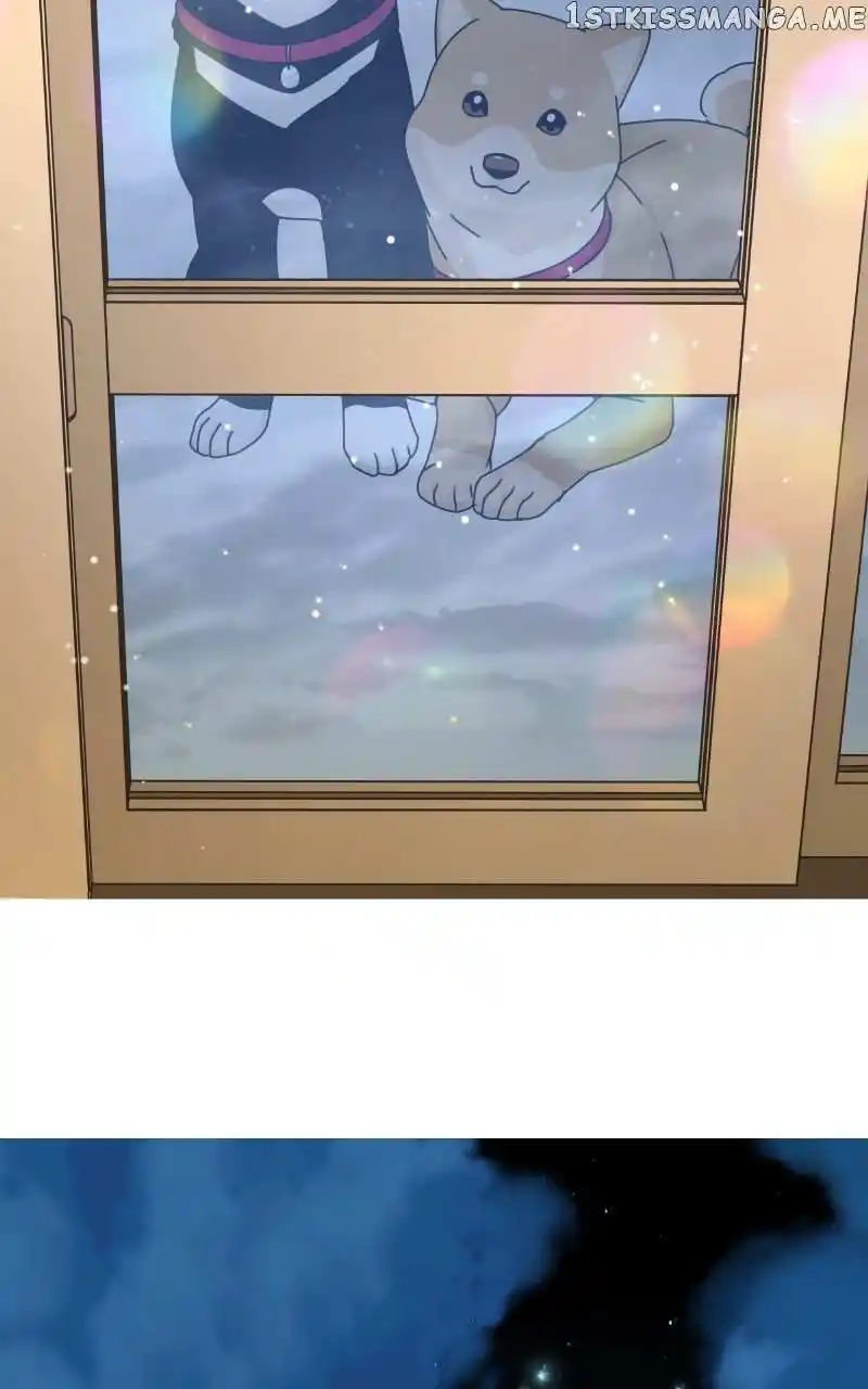 I Gave Birth to a Dog Chapter 103