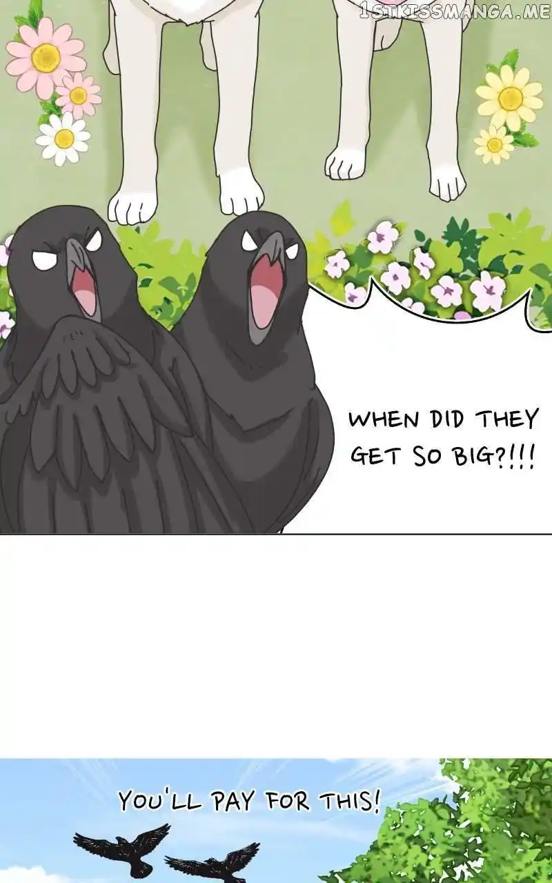 I Gave Birth to a Dog Chapter 104