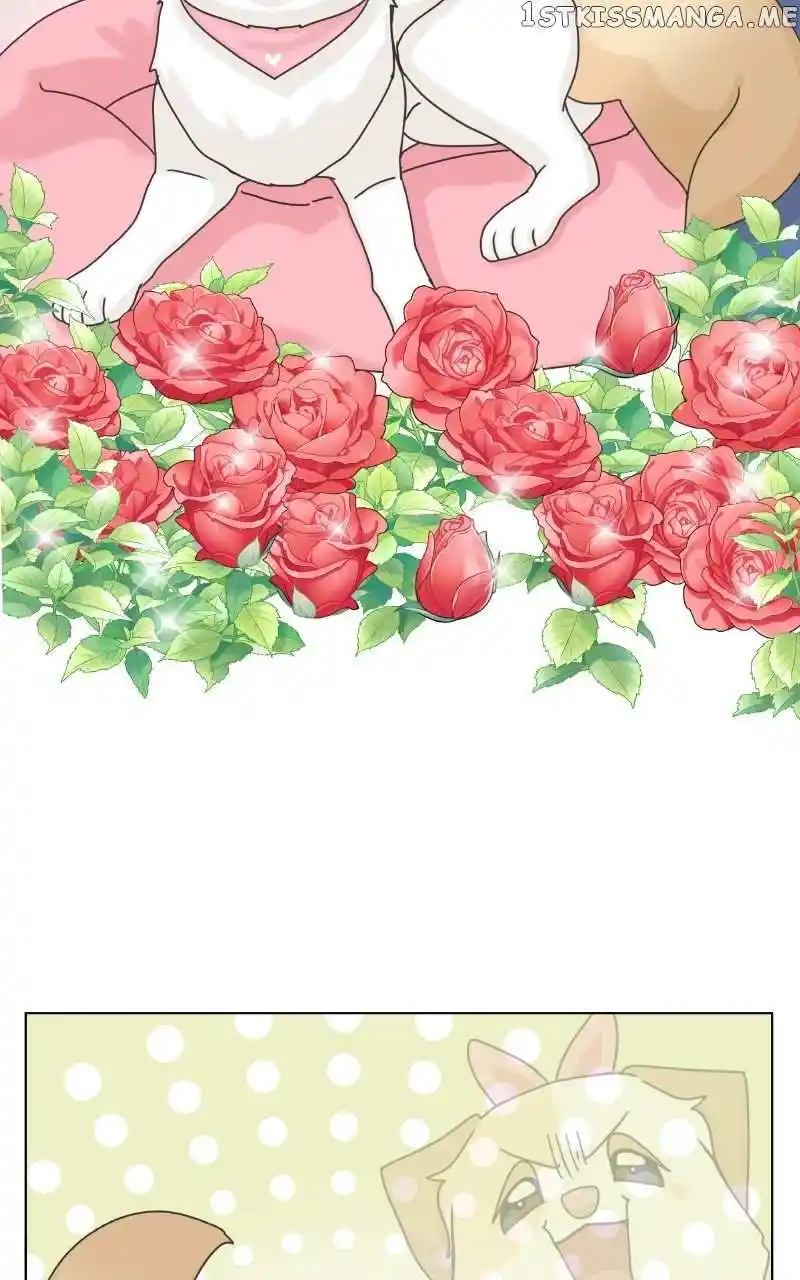 I Gave Birth to a Dog Chapter 104