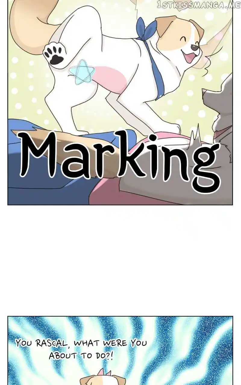 I Gave Birth to a Dog Chapter 104