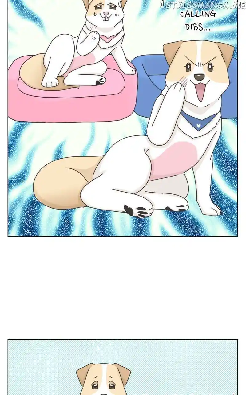 I Gave Birth to a Dog Chapter 104