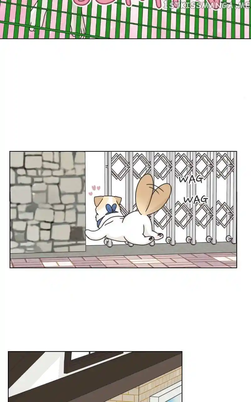 I Gave Birth to a Dog Chapter 104