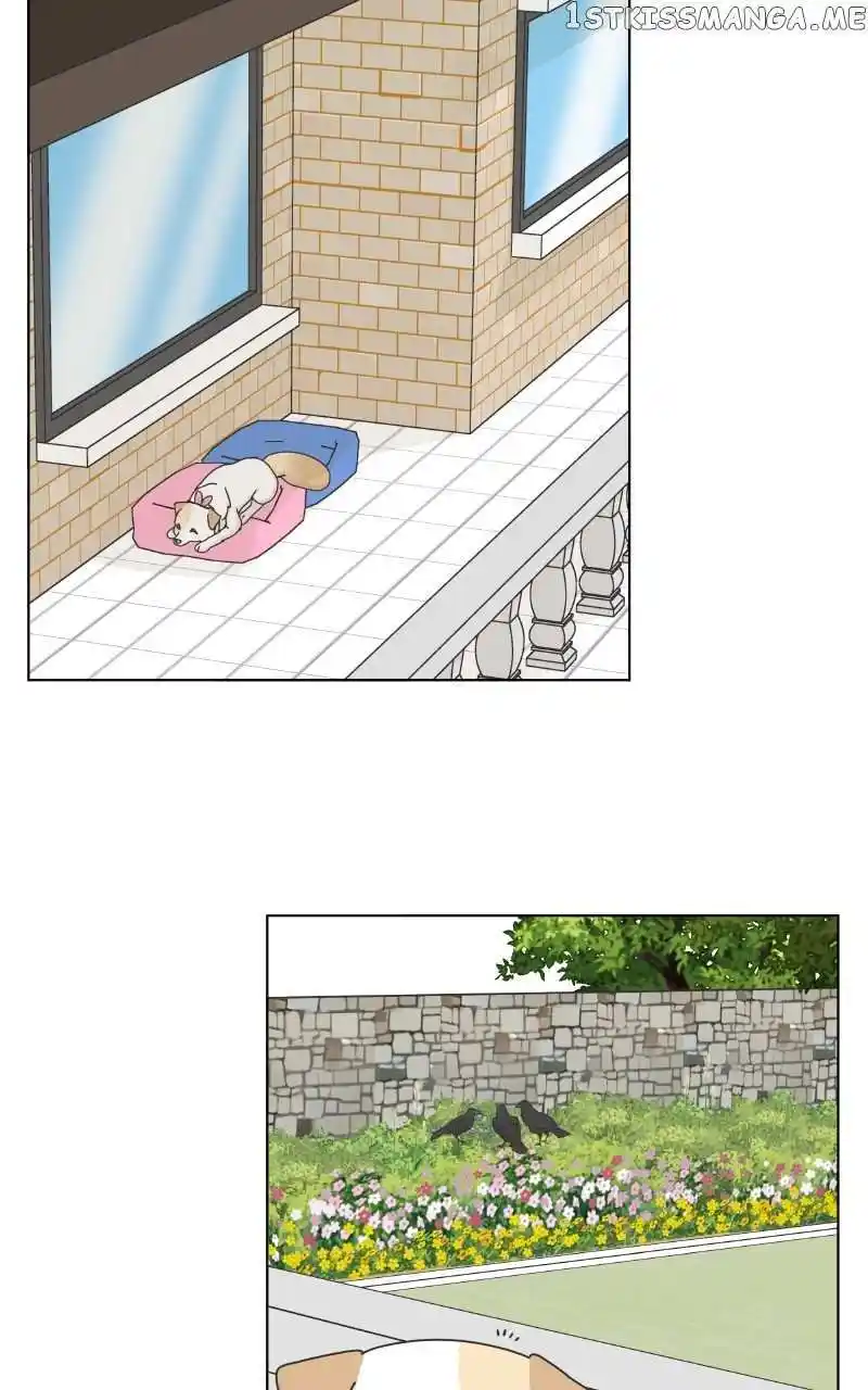I Gave Birth to a Dog Chapter 104