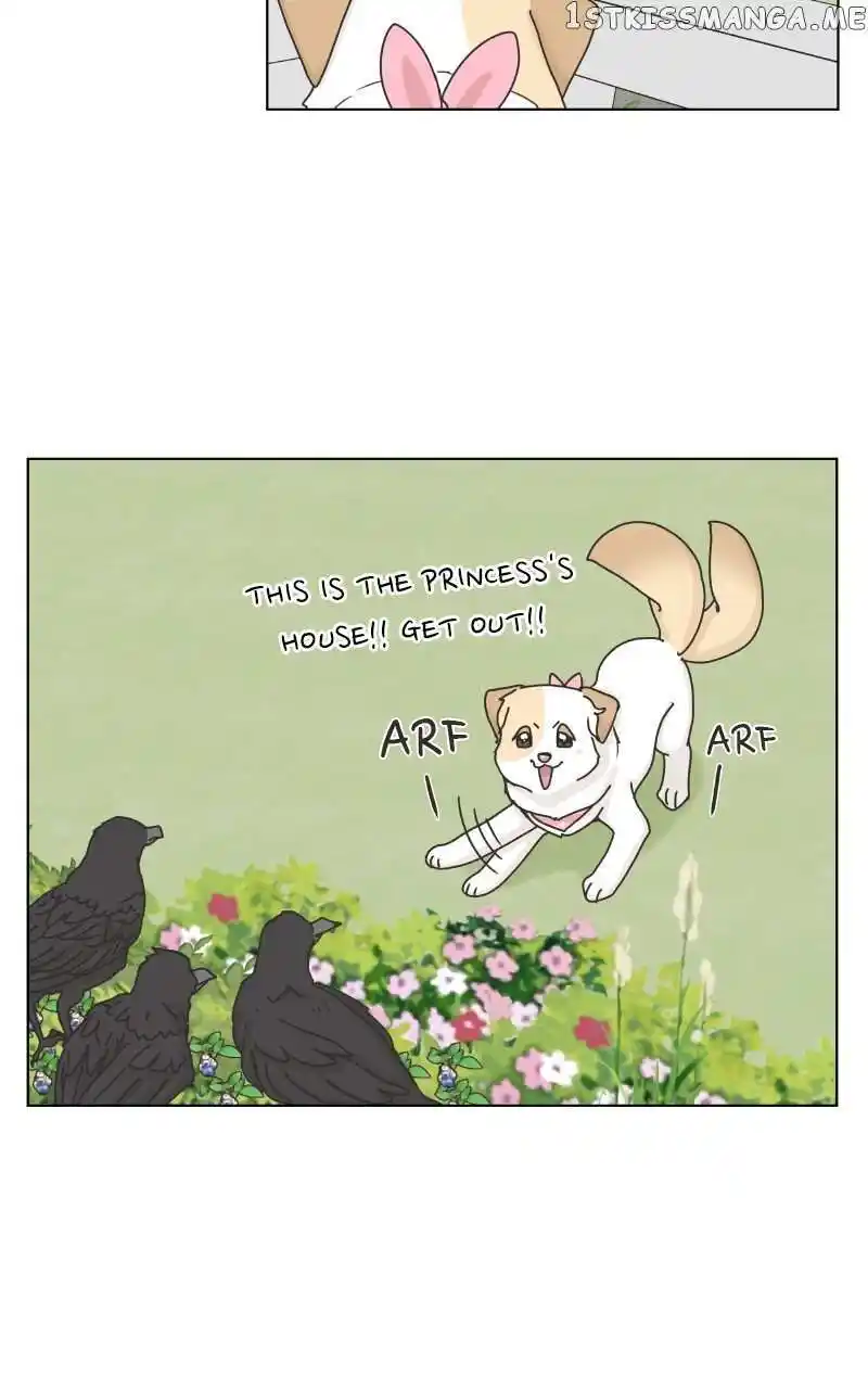 I Gave Birth to a Dog Chapter 104