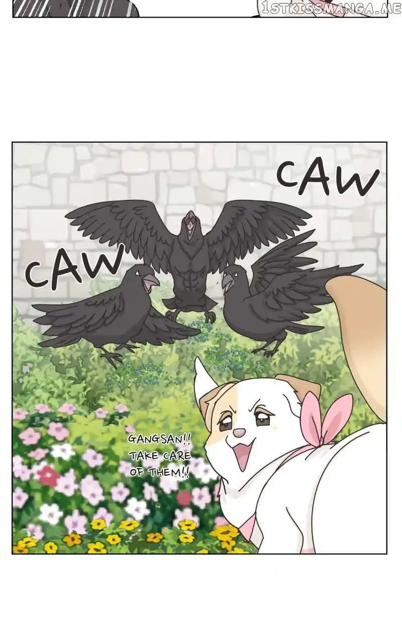 I Gave Birth to a Dog Chapter 104