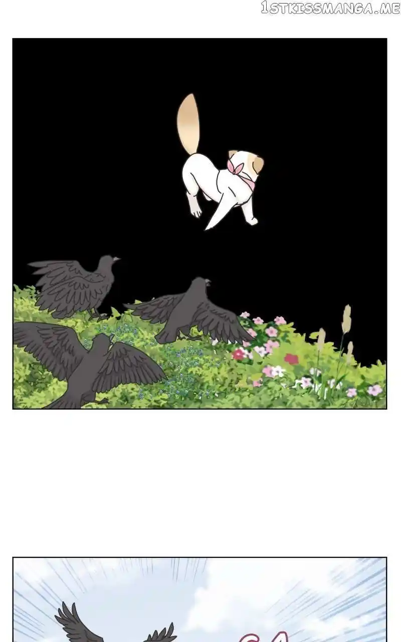 I Gave Birth to a Dog Chapter 104