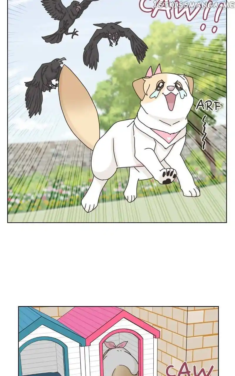 I Gave Birth to a Dog Chapter 104