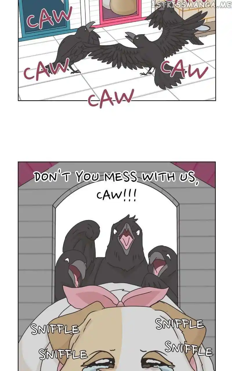 I Gave Birth to a Dog Chapter 104