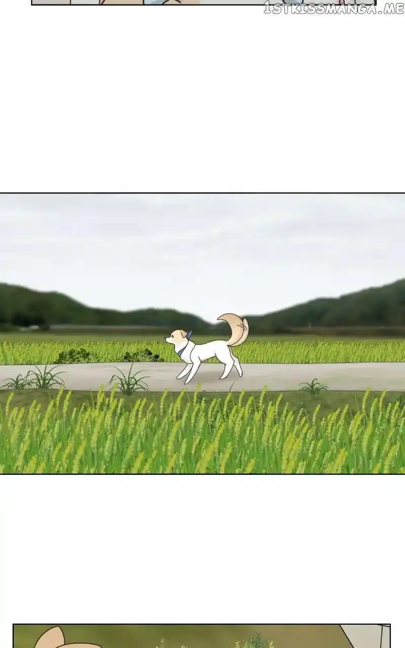 I Gave Birth to a Dog Chapter 104