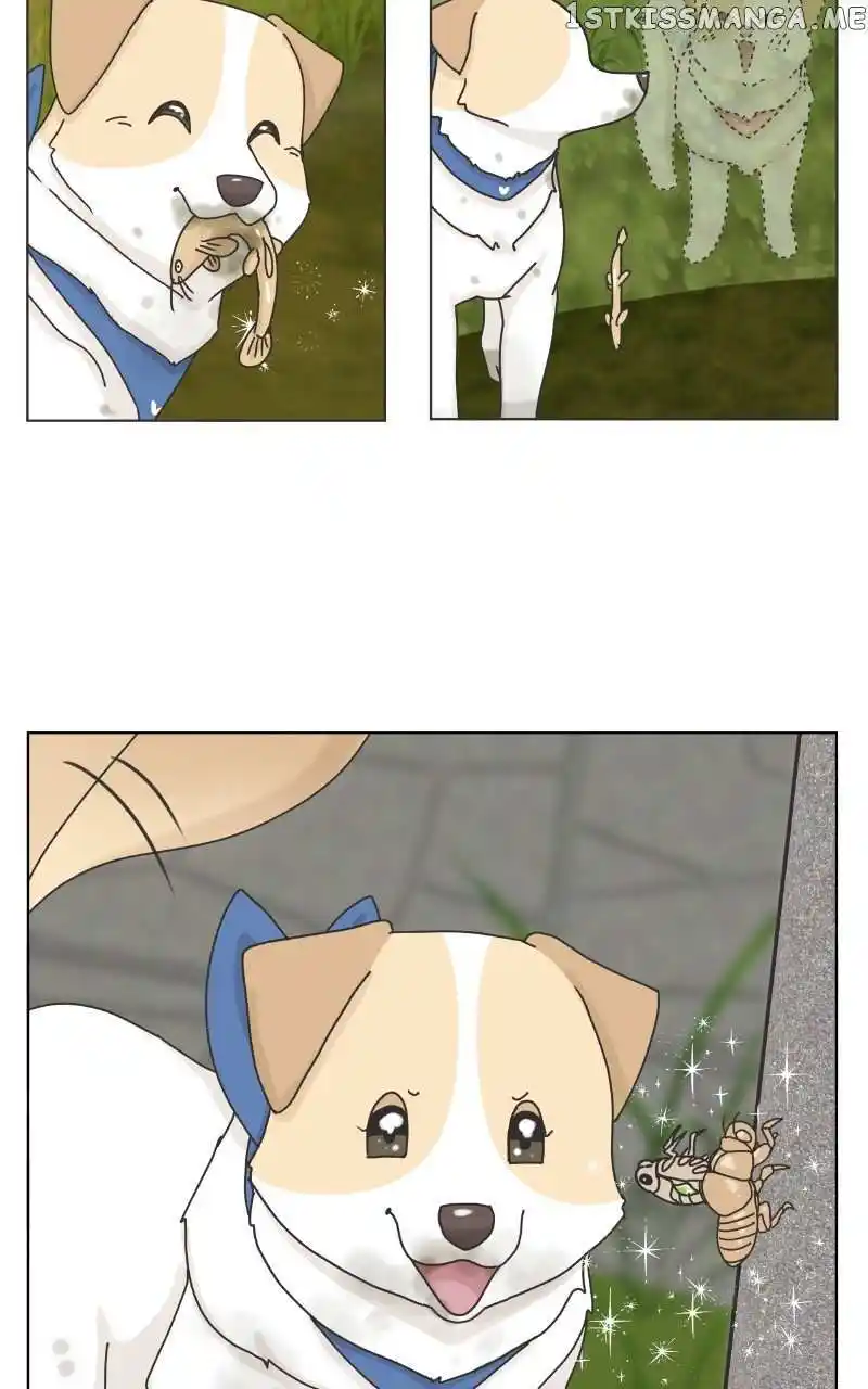 I Gave Birth to a Dog Chapter 104