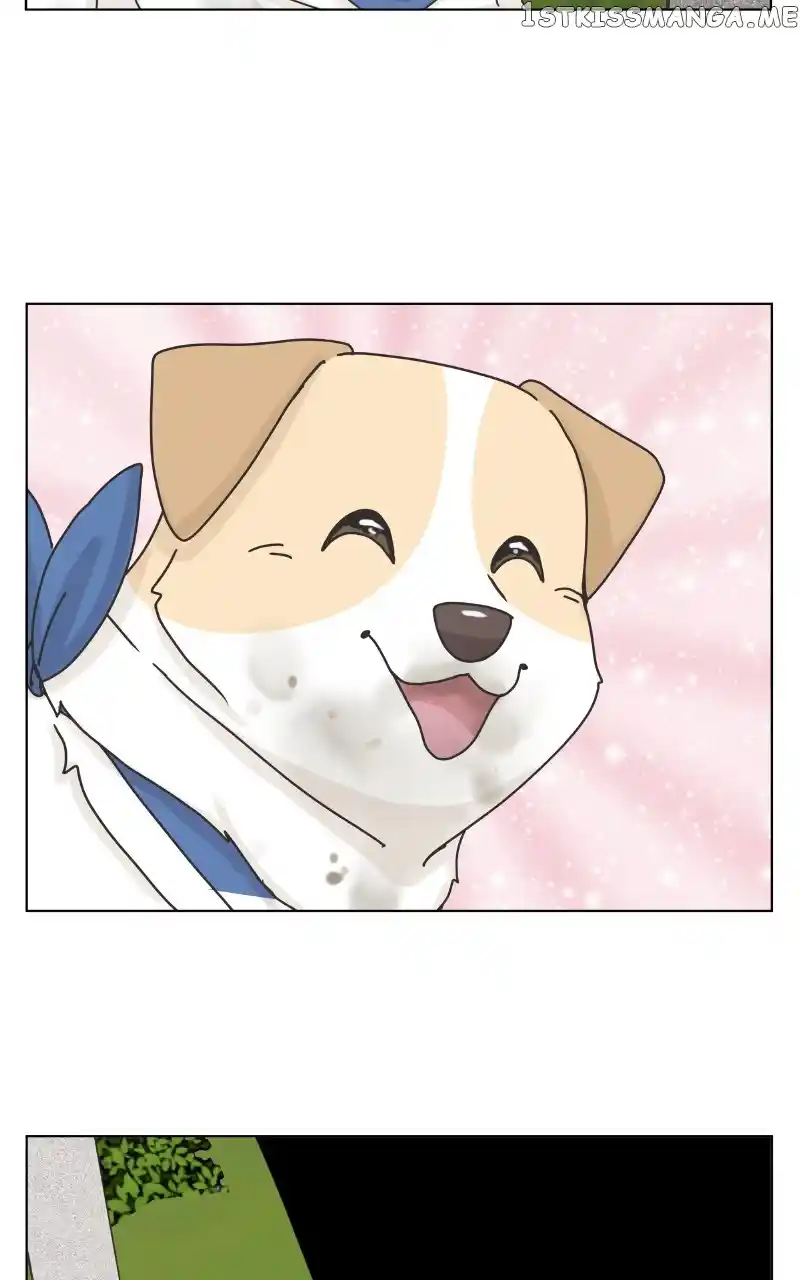 I Gave Birth to a Dog Chapter 104