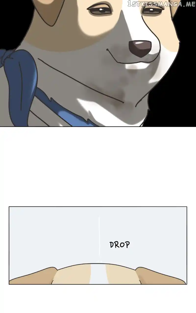 I Gave Birth to a Dog Chapter 104