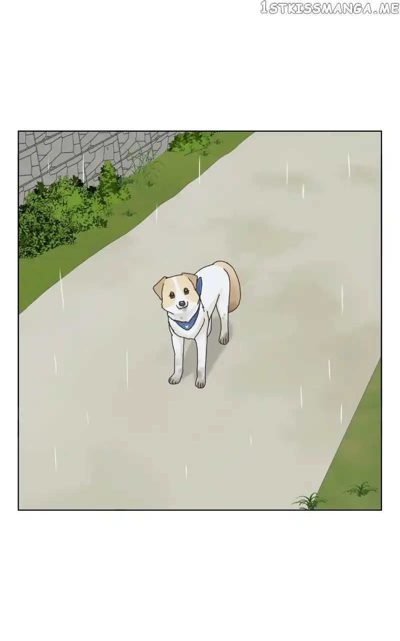 I Gave Birth to a Dog Chapter 104