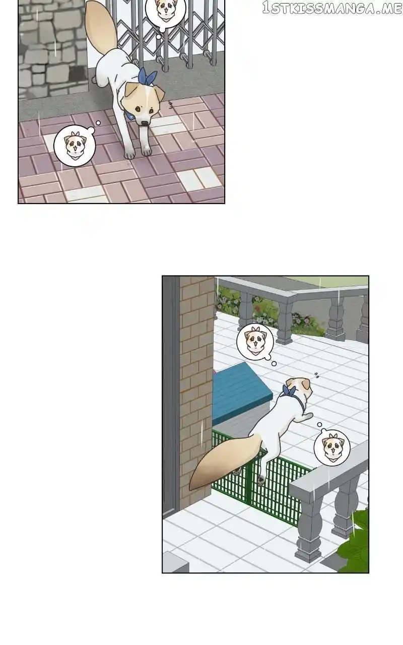 I Gave Birth to a Dog Chapter 104