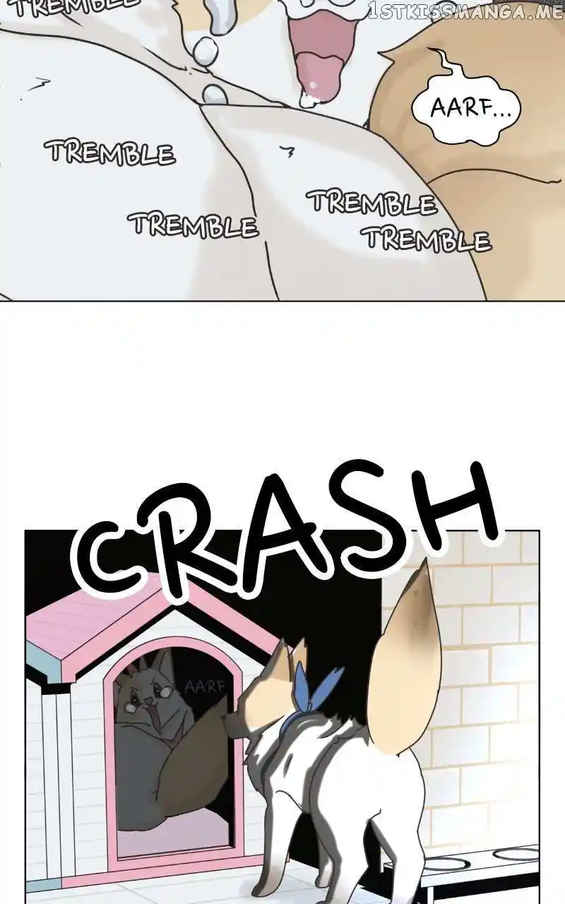 I Gave Birth to a Dog Chapter 104